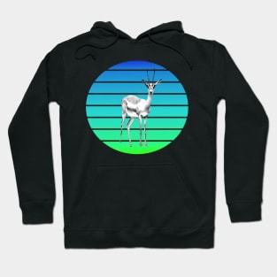 Antelope in Kenya Africa Hoodie